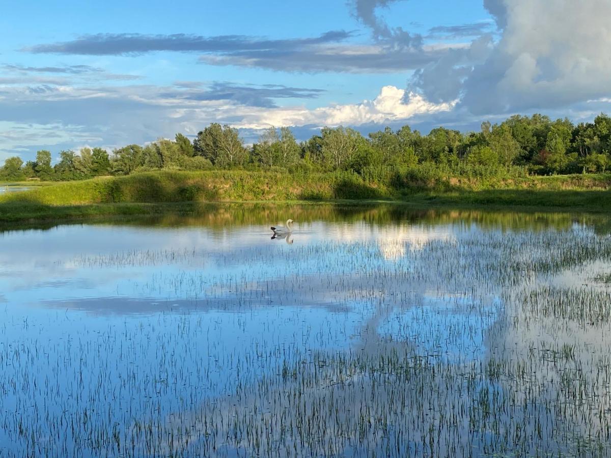 Grado Rouse City - Avanti Savoia Zewnętrze zdjęcie